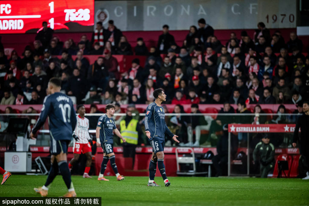 关于转折点明尼苏达森林狼防线松动，国王杯关键时刻攻防权衡，目标明确，身体对抗强度拉满的信息